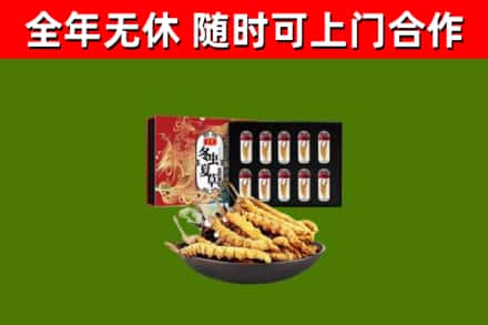中江烟酒回收冬虫夏草礼盒.jpg